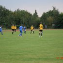 plewis 23